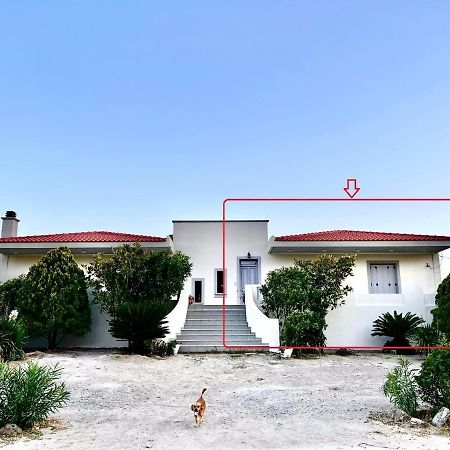 Evgatisbeach Loyskoy 2 Myrina Bagian luar foto