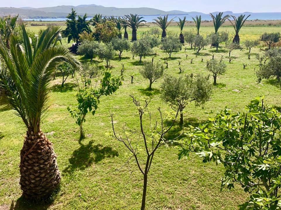 Evgatisbeach Loyskoy 2 Myrina Bagian luar foto